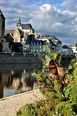 Town of Mayenne with the Notre-Dame basilica and broad-leaved plants, commune in the Mayenne department in north-western France