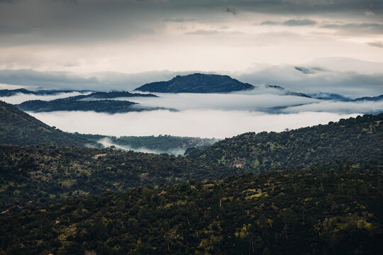 mountains in the fog