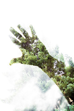 double exposuse hand nature