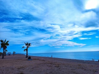 beach with palm trees