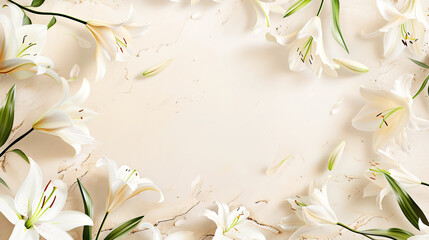Beautiful delicate white lily flowers , light background, copy space, top view. Natural floral background, template for spring summer card, invitation