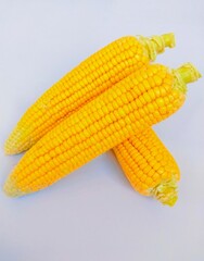Sweet corns on the cob maize cobs yellow whole ear-maize organic ear-corn  fresh sweetcorns zea mays makka bhutta closeup image stock photo 