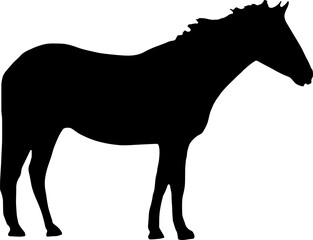 black Horse Silhouette png Vector Illustration. Wild Horse racing PNG on transparent background