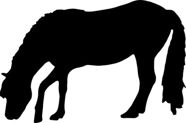 black Horse Silhouette png Vector Illustration. Wild Horse racing PNG on transparent background