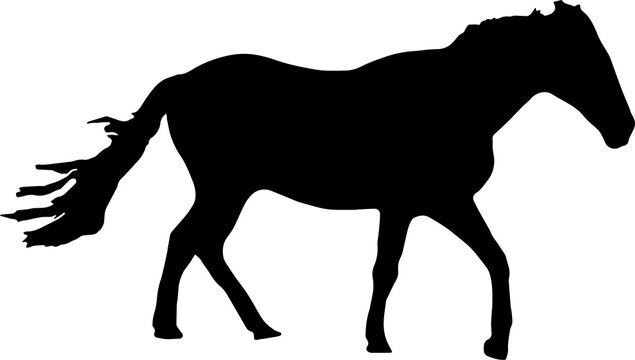 black Horse Silhouette png Vector Illustration. Wild Horse racing PNG on transparent background