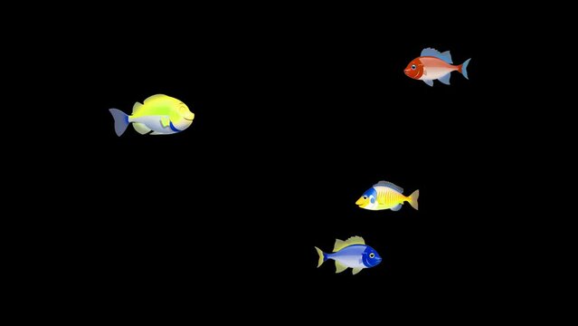 animation of four fishes swimming on a transparent background. 4k Video in a transparent background