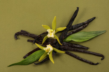 Vanilla pods, beautiful flowers and green leaves on olive color background, top view