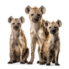 Muurstickers Pack of hyena family in isolated background © FP Creative Stock