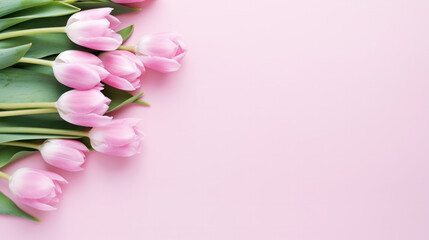 Light pink tulip bouquet on a plain background shot with soft light and a shallow depth of field.