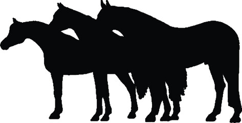silhouettes of horses. - obrazy, fototapety, plakaty