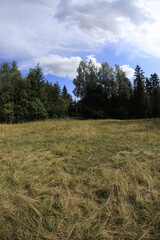 Slovakia, Tatra mountains in summer