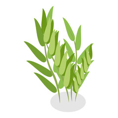 3D Isometric Flat Vector Set of Plants In Pots, Home Indoor Green Decor. Item 10