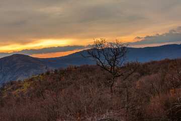Beautiful landscape view of peaks of Rhodope mountains