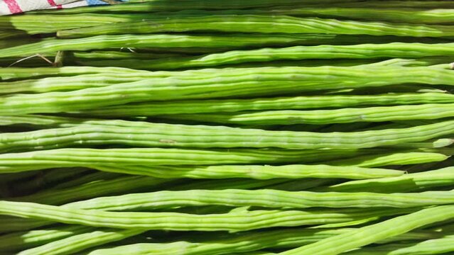 Fresh green drumstick on display at a market Asia street vegetable bazaar