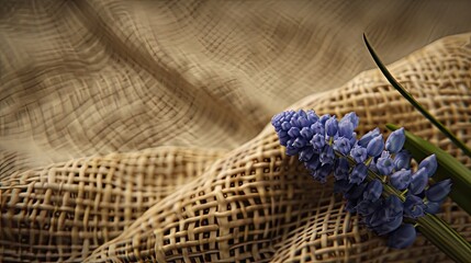 the texture of jute material or burlap and the graceful details of a sprig of muscari or lavender. Close-up. - obrazy, fototapety, plakaty