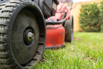 Lawn mower while cutting grass in the garden