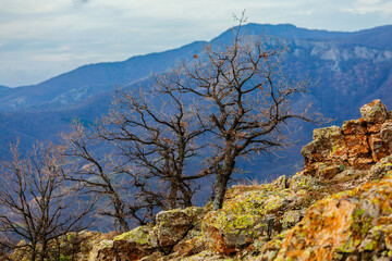 Obraz premium Beautiful landscape view of peaks of Rhodope mountains