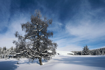 Image from Anfinnseter summer farms of the Totenaasen Hills, Norway, in wintertime. - obrazy, fototapety, plakaty