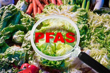 PFAS, PFOS, PFOA PFNA e PFHxS dangerous synthetic substances - Fruit and vegetable contamination...