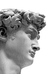 Head of David statue by Michelangelo isolated