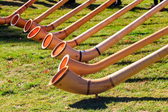 Alphorns laying on the grass on the alpine meadow