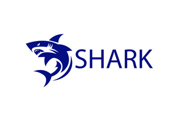 Vector illustration of shark logo with shark lettering
