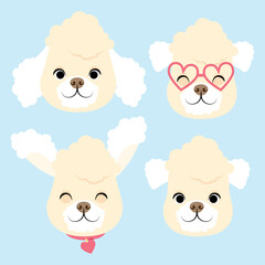 Set of different cute poodle heads