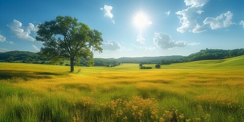 A tranquil rural landscape, with a green meadow, blue sky, and sun, captures the serene beauty of nature.