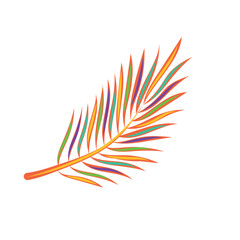 Isolated coloted natural leaf icon Vector illustration