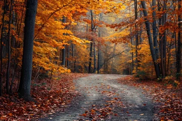 Stof per meter A dirt road meanders through a thick forest, surrounded by towering trees and undergrowth, Autumn foliage in a secluded forest path, AI Generated © Iftikhar alam