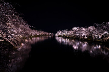 弘前公園の夜桜