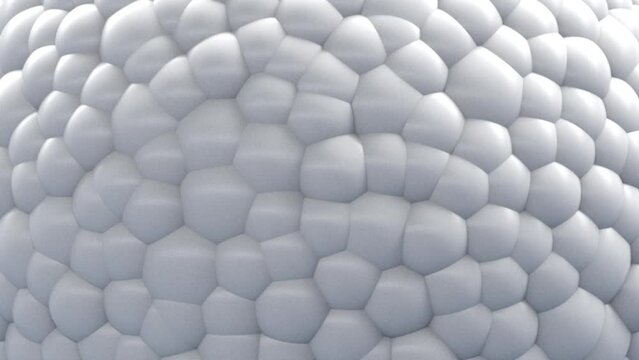 Multiplying Cells.
This stock motion graphics video shows white cells popping and multiplying in slow zoom out.