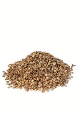 Dhania or Coriander Seed Isolate on White Background with Copy Space, Also Known as Cilantro