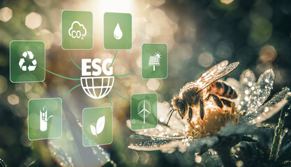Concept of environmental social governance. Bee flying on a flower. Sustainable ethical business.