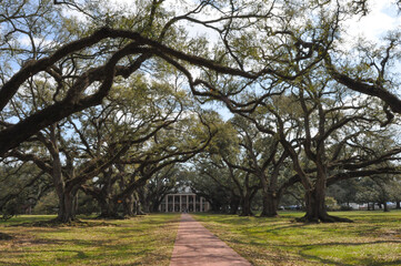 Oak alley , Louisiane, Horizontal