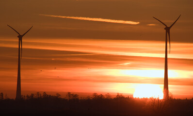 Obraz premium An image of wind turbines in a field at sunrise, in winter