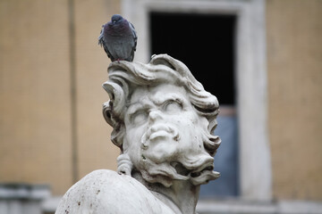 Detailed view of a statue from the Fontana del Moro in Rome, featuring a pigeon perched on the head, adding a touch of whimsy to the historic monument.