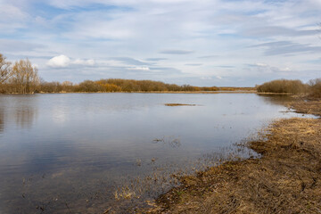early spring flood, high water in the countryside, river overflowing its banks, trees in the water,...