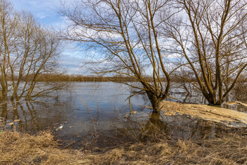 early spring flood, high water in the countryside, river overflowing its banks, trees in the water,...