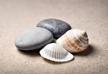 Fotobehang shells on the beach © Naila