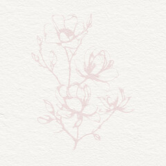 Delicate Magnolia watercolor botanical digital paper floral background  - 736454493