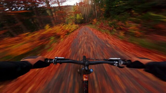 Fast MTB bike ride in the autumn forest at dusk. Downhill mountain biking on the road.POV