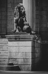 lion statue in the city