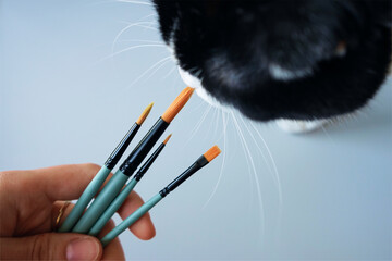 hand with brushes paint cat