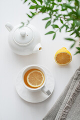 A cup of tea with lemon, a teapot and green branch on a white table.