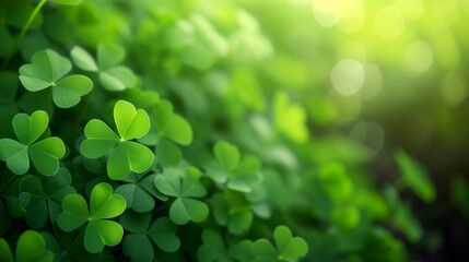 Backdrop for St. Patrick's Day. Clover wallpaper in soft backlight with blur and bokeh. Horizontal format. Postcard. - obrazy, fototapety, plakaty
