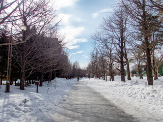Naklejka premium 初春の中島公園（北海道札幌市中央区）