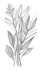 Botanical arts. Hand drawn continuous line drawing of abstract tropical leaves