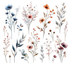 Watercolor and Botany with Small Blossoms
