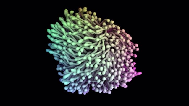 Algae.
This stock motion graphics video shows multi-colored algae wriggling against an alpha channel background.